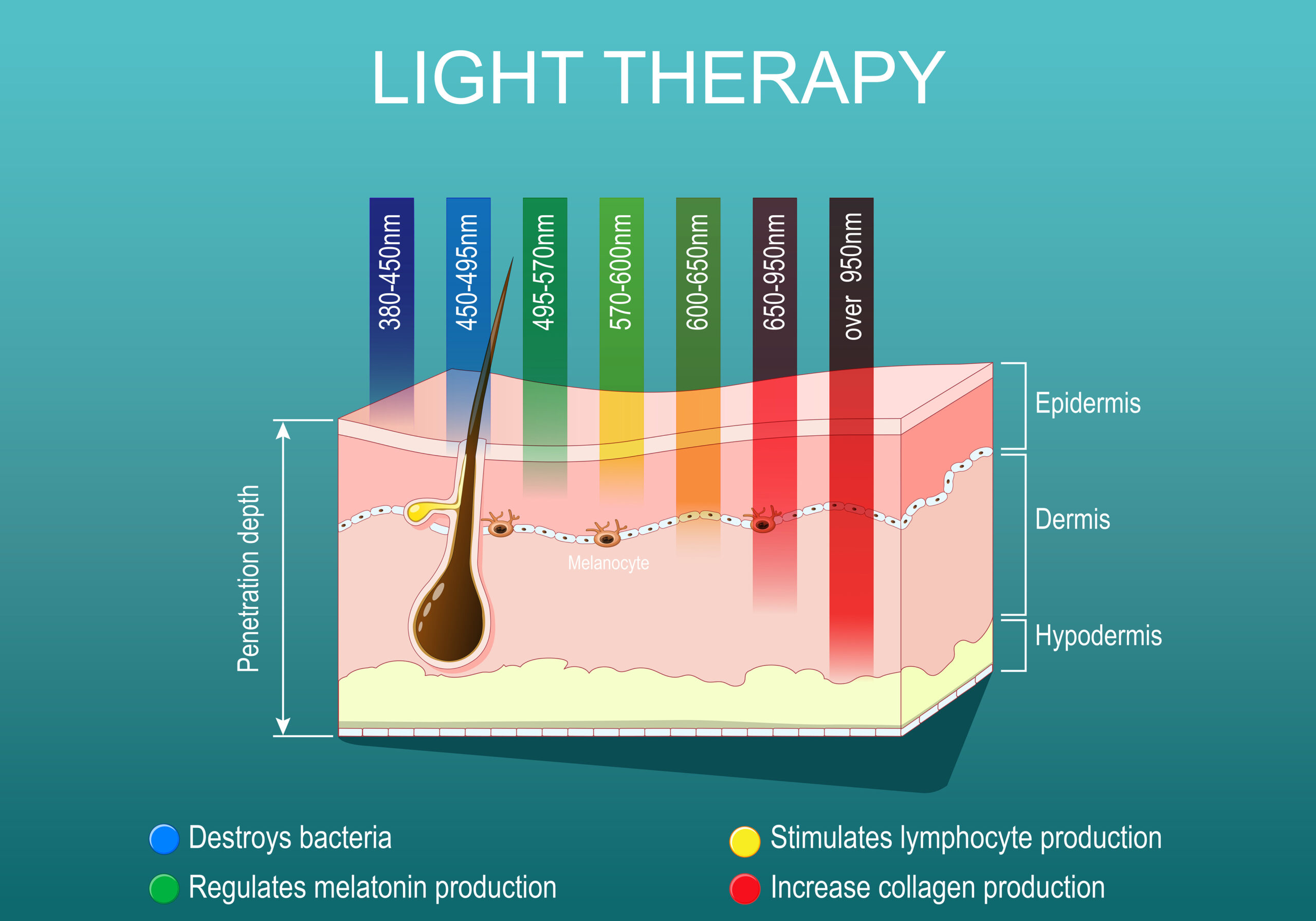 Light therapy for Skin rejuvenation. Phototherapy or laser therapy. Wrinkle reduction. Electromagnetic spectrum with colors of the various wavelengths in the human skin. isometric flat vector illustration